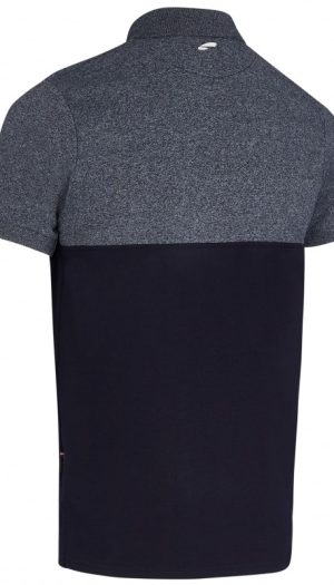 8251-large_default.jpg
