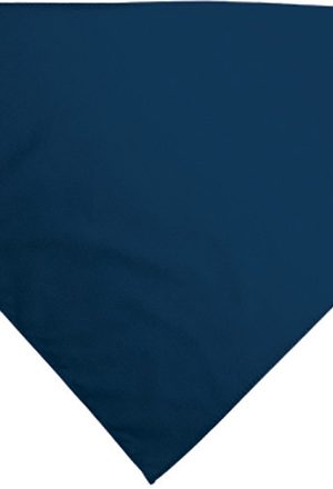 Foulard triangulaire GALA
