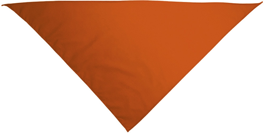 Foulard triangulaire GALA – Image 5