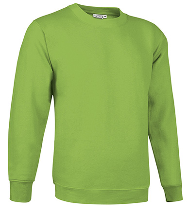 Sweat-shirt col rond DUBLIN – Image 4