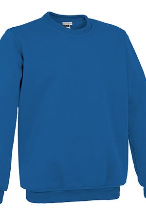 Sweat-shirt STEVEN